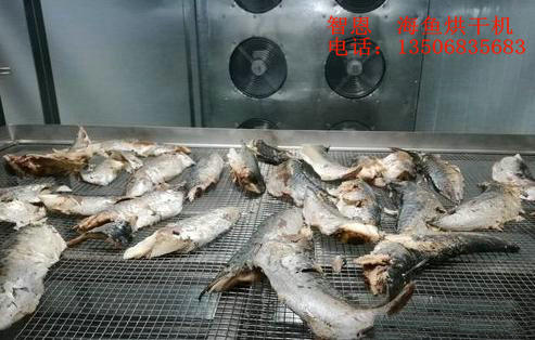 熱泵海魚烘干機(jī)